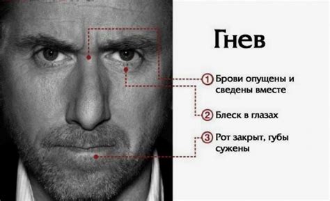 Мимика и выражение лица