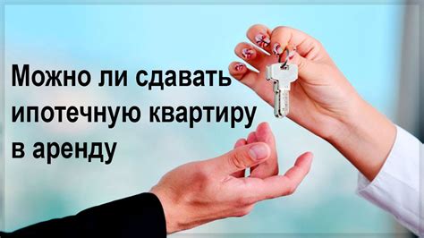 Может ли адвокат сдавать в аренду квартиру:
