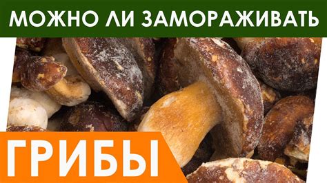 Можно ли замораживать маринованные грибы