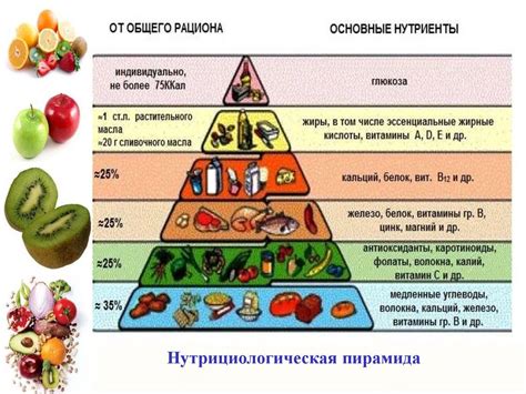 Мусульманская диета: основные принципы и значение