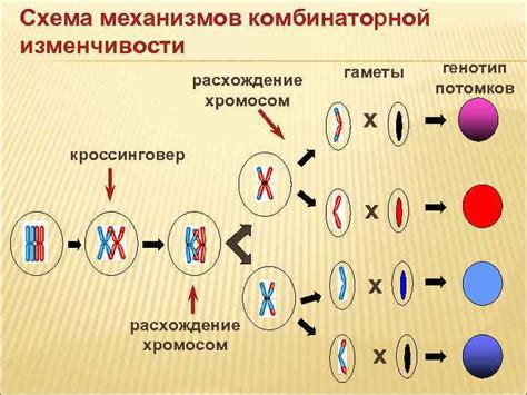 Наследственность и генетические изменения