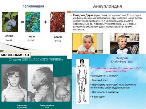 Наследственность и окружающая среда