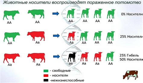 Наследуемость и генетические аномалии
