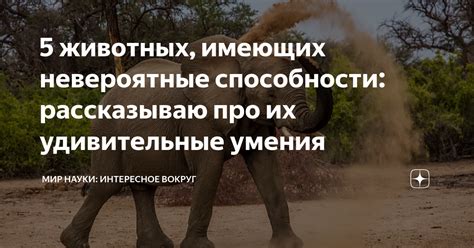 Невероятные способности гуппи
