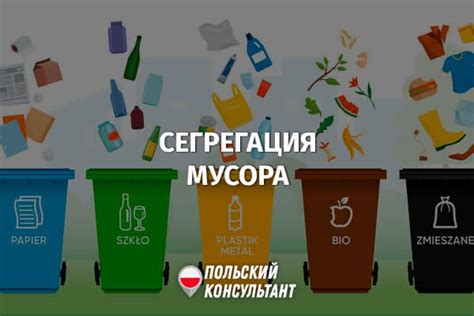 Необходимость в развитии сортировки отходов