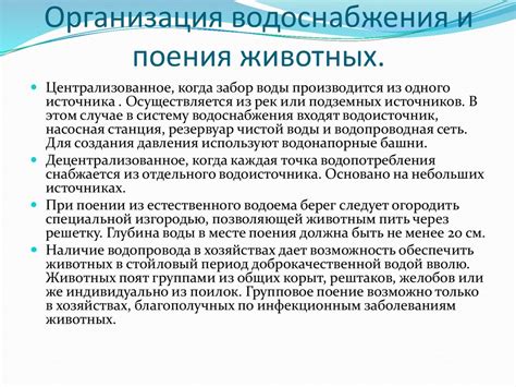 Общая потребность животных в труде