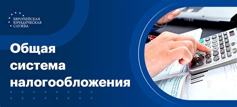 Общая система налогообложения: особенности и требования