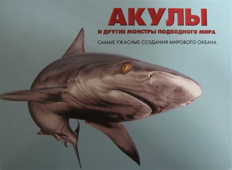 Опасности подводного мира: монстры и бури