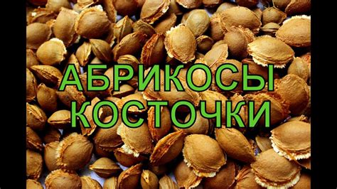 Опасности употребления косточек для детского организма