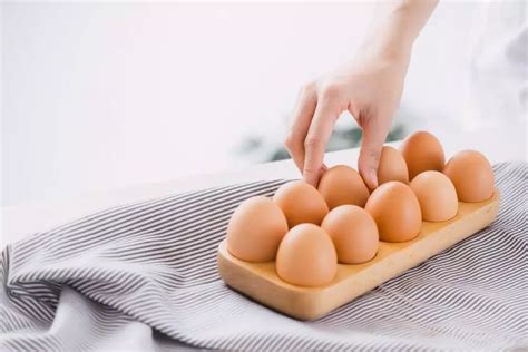 Опасность заражения сырыми перепелиными яйцами: мифы развенчиваются