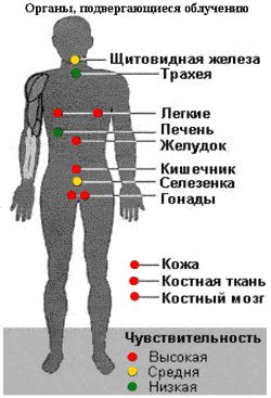 Опасность облученного радиацией человека