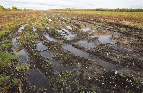 Опасность перегрева и пересыхания почвы