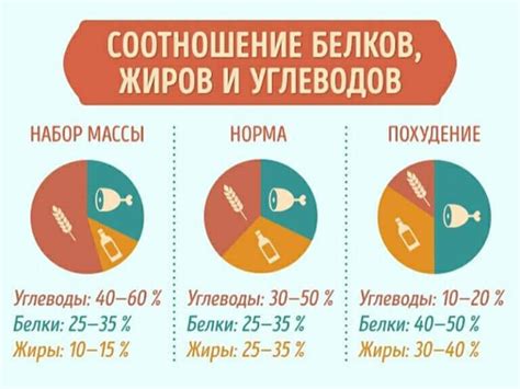 Оптимальная доля белка в пище для поддержания массы тела