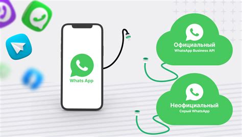 Оптимальное время для общения в WhatsApp