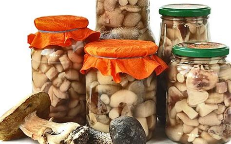 Оптимальные условия хранения маринованных грибов