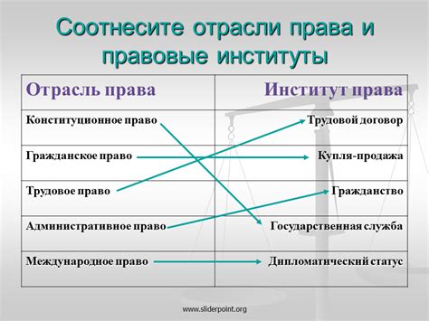 Опыт и знания правовых норм