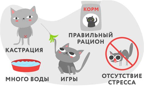 Основные причины мочекаменной болезни у котов
