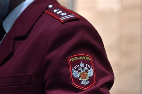 Основные причины образования плесени в жилых помещениях