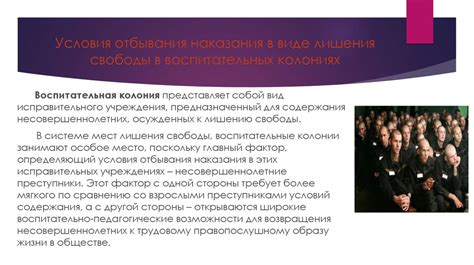 Особенности ассамблеи в колониях