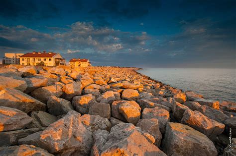 Особенности морского цветения в Адлере