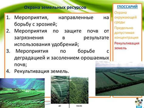 Охрана и устойчивое ведение промысла