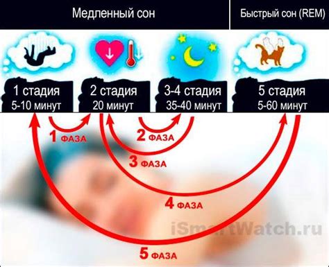 Первые признаки пророческого сна