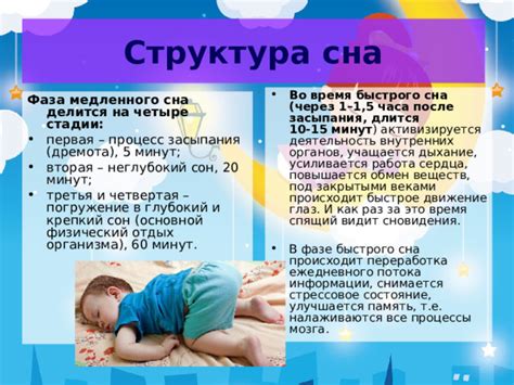 Переработка информации во время сна