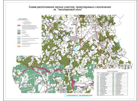 Перспективы в случае нарушения сроков использования лесных участков