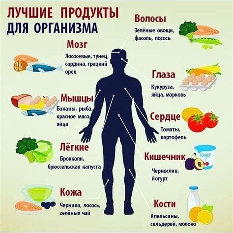 Питание и вода: Влияние на кожу и общее состояние организма