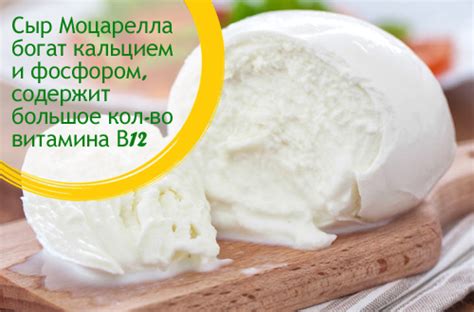 Питательная ценность и уникальные свойства сыра моцарелла