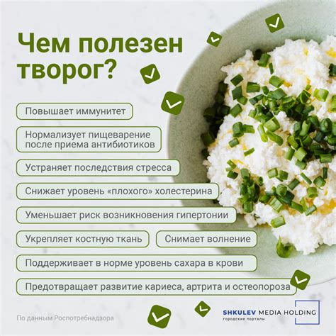 Пищеварение творога ночью
