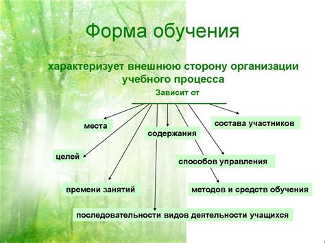 Планирование и организация учебного процесса