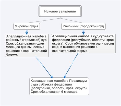 Подача апелляционной жалобы в апелляционный суд