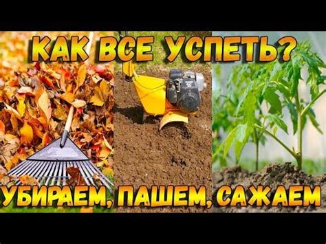 Подготовка огорода к осенней орошении