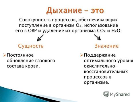 Поддержание оптимального уровня йода в организме