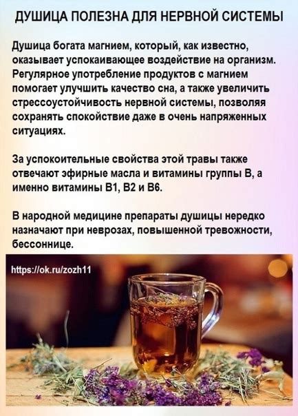 Полезна для нервной системы