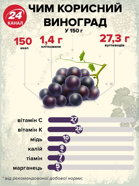 Полезные вещества, содержащиеся в косточках винограда