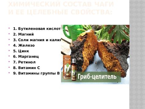 Полезные вещества в чаге