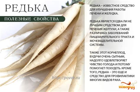 Полезные свойства редьки и меда