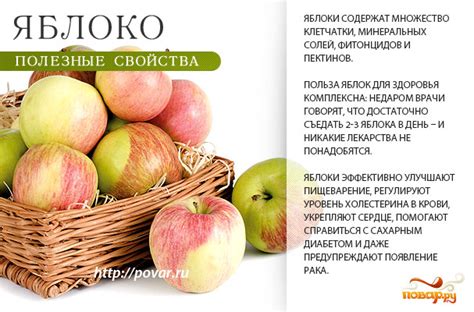 Полезные свойства яблок