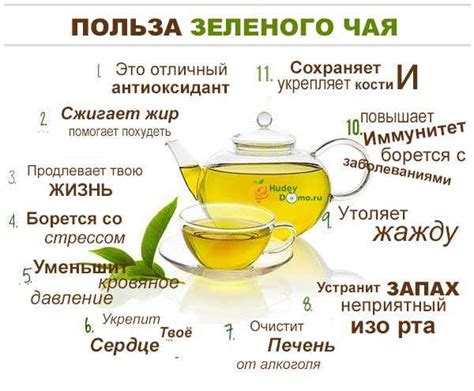 Польза зеленого чая для сердечно-сосудистой системы