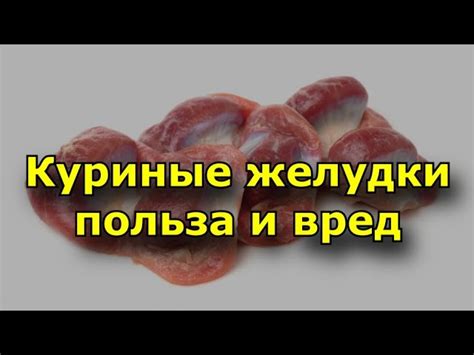 Польза и вред куриных голов для организма