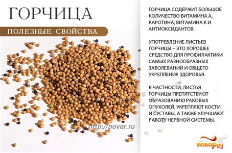 Польза и значение листьев горчицы