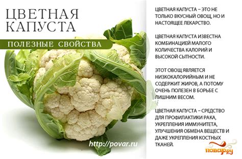 Польза соседства капусты и моркови