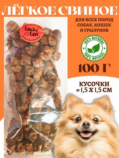 Помидоры: безопасное лакомство для собак