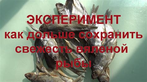 Потенциальные проблемы и решения при высушивании вяленой рыбы в микроволновке