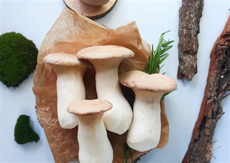 Почему замораживание маринованных грибов может быть полезно