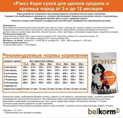 Правила введения яблок в рацион щенка