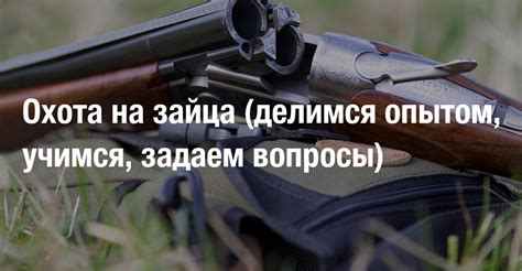 Правила и требования для охотников на зайца