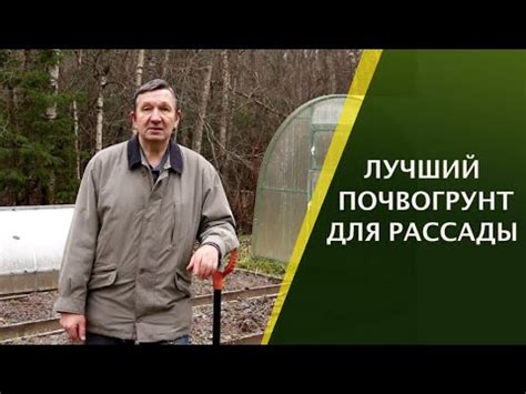 Правила по выбору места и подготовке грунта